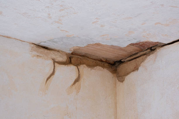 Best Mold removal after water damage  in Chesterfield, IN