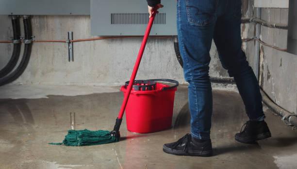 Best Local water damage restoration  in Chesterfield, IN