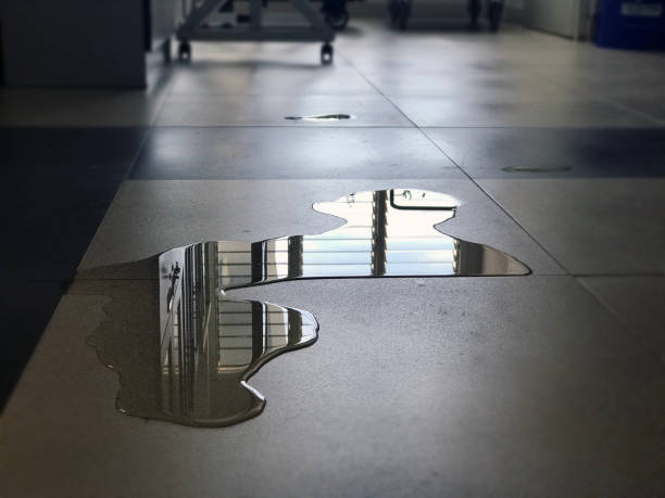 Best Water damage restoration near me  in Chesterfield, IN