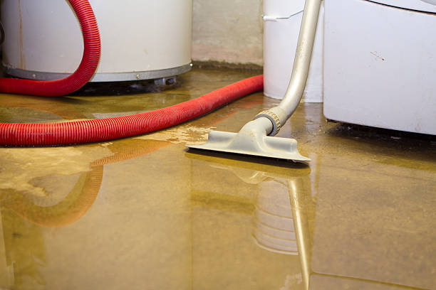 Best Professional water damage repair  in Chesterfield, IN