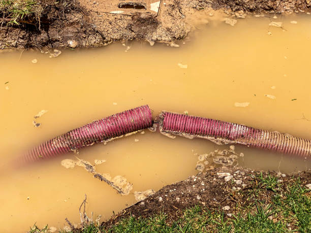 Best Basement water damage restoration  in Chesterfield, IN
